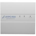 Сибирский арсенал Курс-100, вариант 2, версия 4