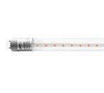 Лампа светодиодная PLED T8-600 PPG Agro 8Вт G13 CL для растений Jazzway 5025899