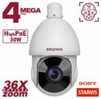 Beward SV4218-R36