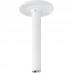 Evidence Apix-CeilingTube/VE (II)