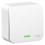 Выключатель 1-кл. ОП Blanca 10А IP20 (сх. 1) 250В с подсветкой с изолир. пластиной бел. SE BLNVA101111