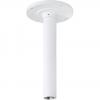  - Evidence Apix-CeilingTube/VE (II)